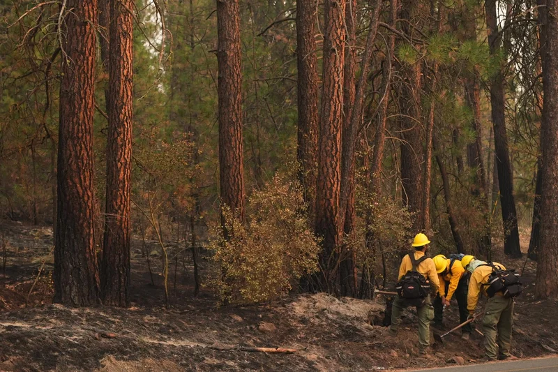 Authorities arrest arson suspect in Spokane wildfires
