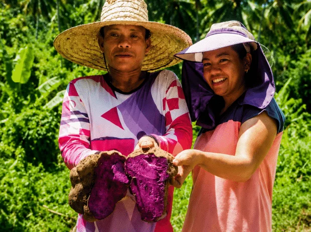 Leyte's Richard Gomez pushes bill making purple yam priority crop