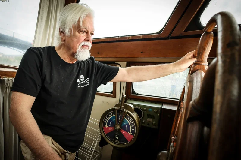 Iceland seizes Paul Watson Foundation's anti-whaling ship and detains its crew