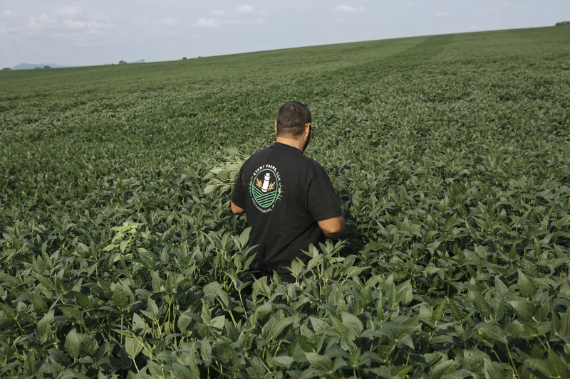 The Iran war and tariffs are costing farmers. Will Republicans pay in November?