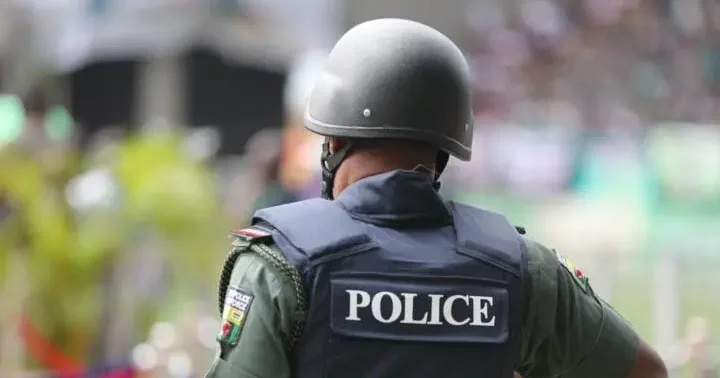 Police arrest eight over alleged killings during Gujungu market violence in Jigawa