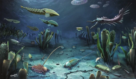 An Explosion of Feces May Have Triggered Earth’s Explosion of Species