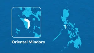 Oriental Mindoro gov suspends order allowing entry of frozen pork