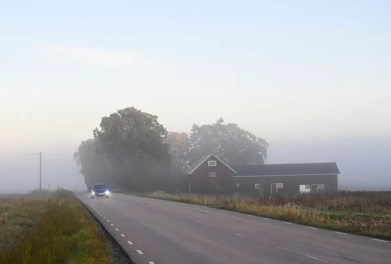 Ten songs you need to listen to on a Swedish road trip