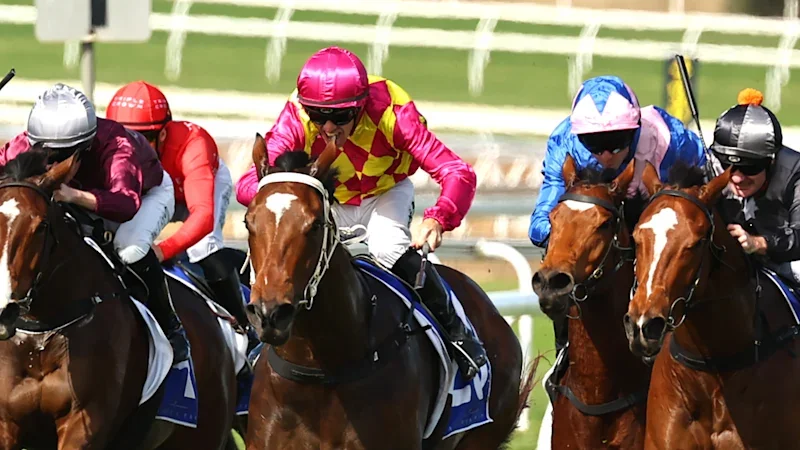 Emerging Osland mare can secure city start with another win