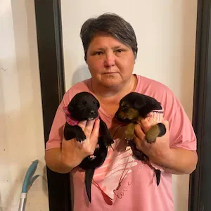 Northland rescue groups demand action over sale of 1-week-old puppies