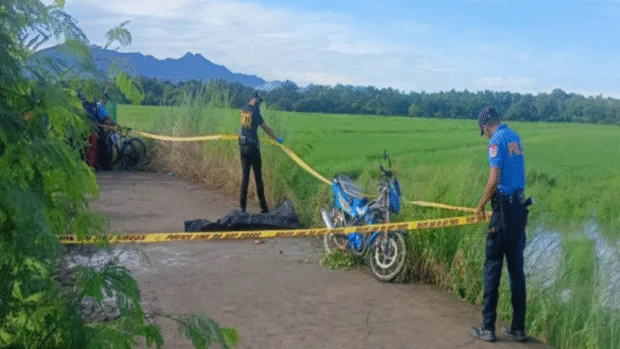 Man found dead along farm road in Ilocos Sur