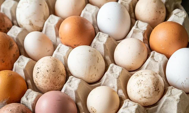 Egg warning: Major salmonella outbreak leaves one dead and 200 sickened - here's how to tell if yours are safe