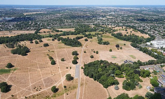 Heat health alerts issued in England with temperatures to hit 34C again amid widespread drought as some areas go 48 days without rain