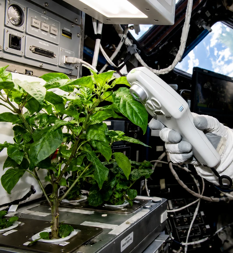 Three companies building the tech to grow crops on the moon