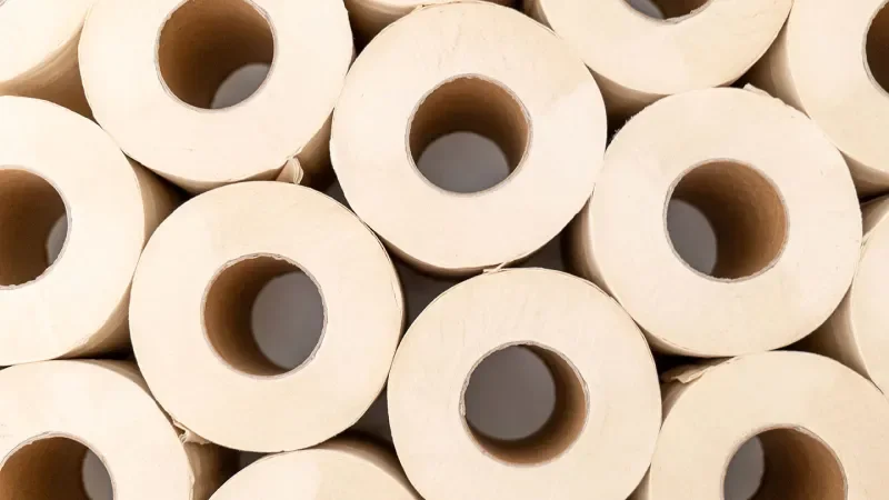 Bamboo toilet paper intrigued me. Reality turned out to be messy