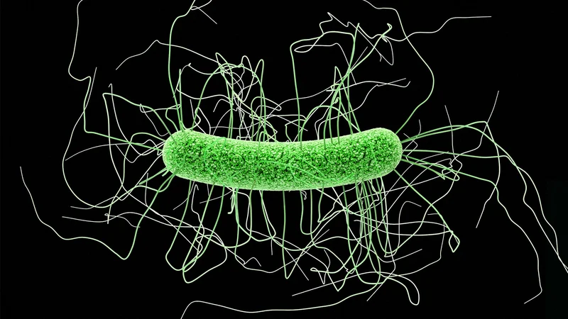 Here's How One Nephrology Unit Cut Hospital-Acquired C. Diff by 90%