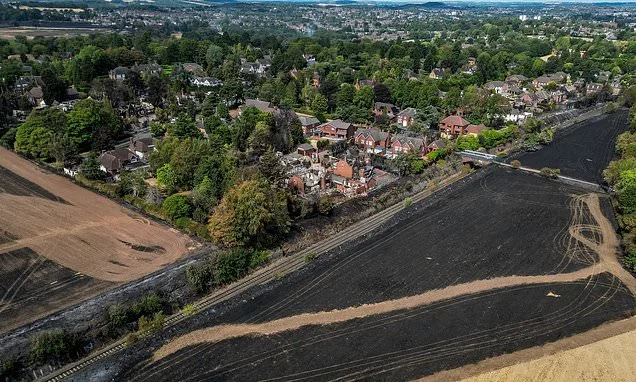 Government issues temporary ban disposable barbeques over wildfire risks