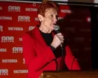 ‘Orange elephant in the room’: Pauline Hanson’s political rise is inspiring racism, inquiry hears