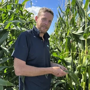 Fall armyworm in NZ: What researchers have learned 4 years on