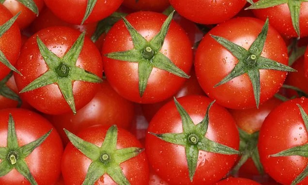Tomato a day can cut risk of fatty liver disease, study reveals