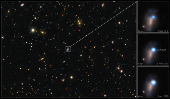 This Supernova Death of a Star Broke All the Rules
