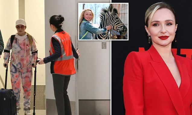 Agony from devastating ZEBRA accident haunted Hayden Panettiere for two decades before death aged 36