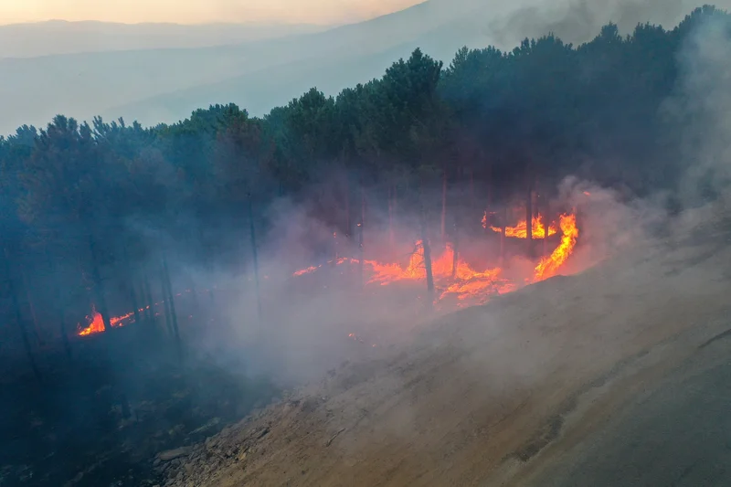 Türkiye's Justice Ministry investigates 44 wildfires, arrests 6