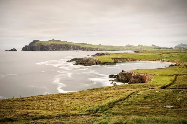 Ancient 'Kerry cow' bones discovered on Dingle Peninsula ‘were never cattle at all’