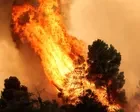 Wildfires rage across Greece, threatening homes – video