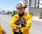 Cat survives Utah apartment fire by sheltering in closet for three days