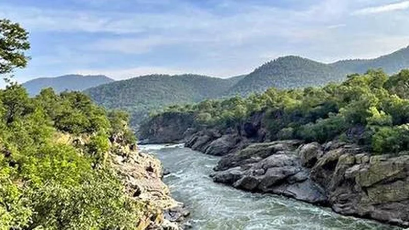Karnataka credits rain for Cauvery water allotment to Tamil Nadu; TN says it was not voluntary and seeks more water