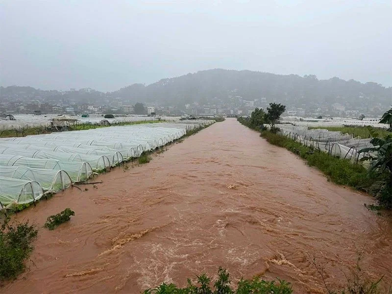 Farm damage from storms exceeds P100 million – DA
