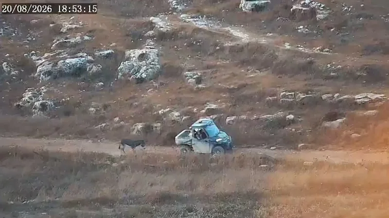 Sanctioned by EU, Israeli settler steals and kills Palestinian donkey