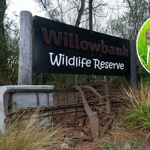 Willowbank Wildlife Reserve raises concerns over 230-home Christchurch plan