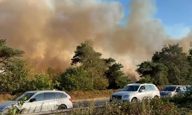 Motorists are told 'flee your vehicles if you want to stay alive' as huge fire spreads across A31