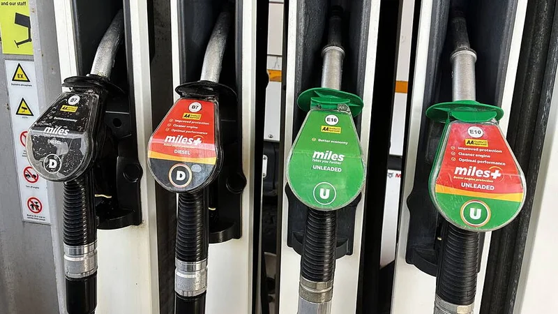 Fuel excise cuts cannot go on indefinitely, Enterprise Minister says
