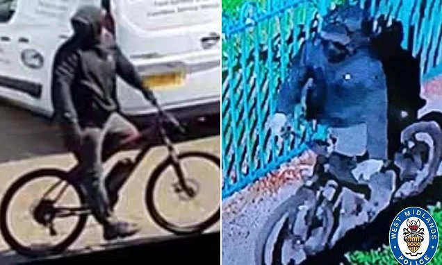 Hunt for the Gingerbread Man: £10,000 reward to catch masked robber who has been targeting women and pensioners for their jewellery for more than a year