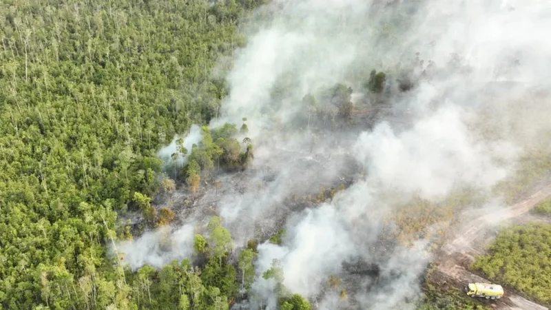 Indonesia arrests 72 suspected of starting forest fires as haze persists