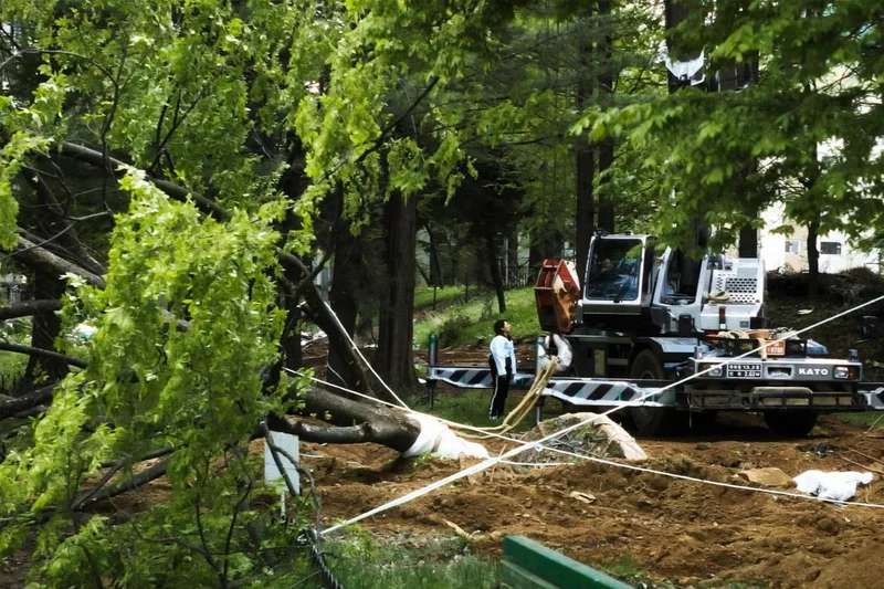 'Green Concrete' documentary questions cost of urban renewal