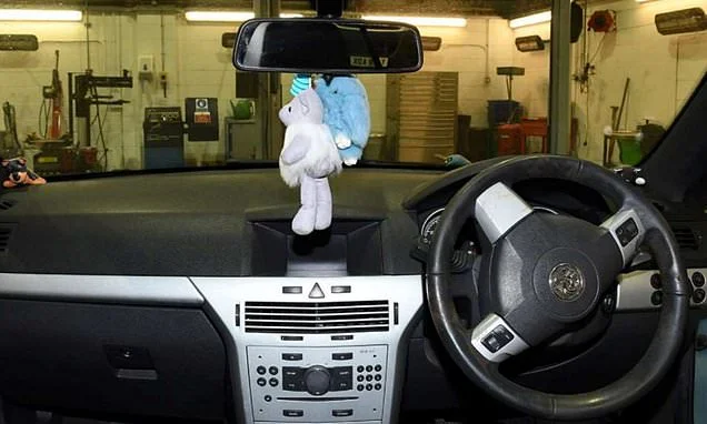 Driver knocked down and killed pensioner, 80, after her view was blocked by stuffed toys dangling from her rear-view mirror