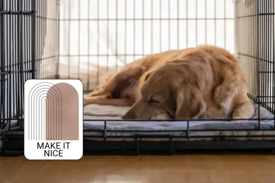Make It Nice: Is There Such A Thing As A Good-Looking Dog Crate?