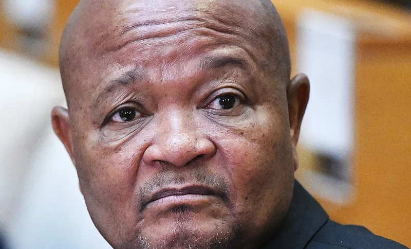 MADLANGA COMMISSION: Mchunu violated protocol to share confidential report with Idac, inquiry hears