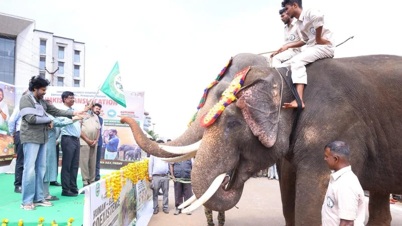 Two trained kumki elephants deployed in Parvathipuram to tackle human-elephant conflict