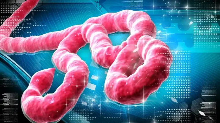 CEPI commits $4.17m to study vaccine protection against Ebola virus
