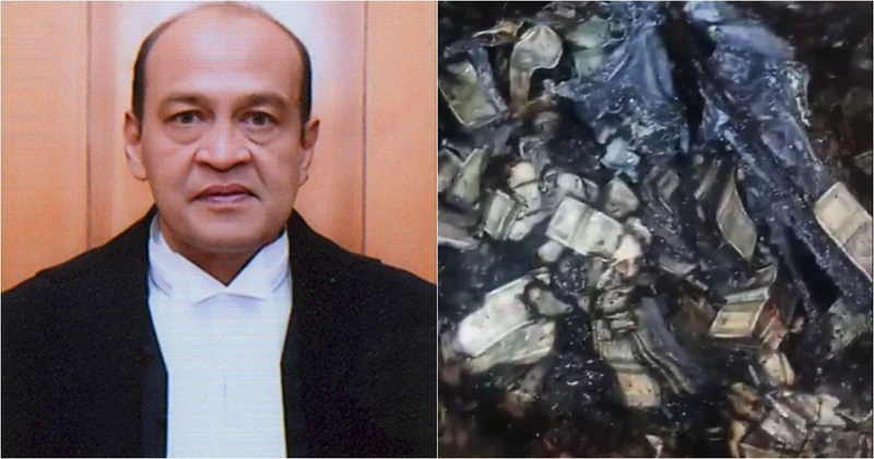 ‘Cheap publicity’: SC dismisses plea seeking SIT probe into Justice Varma unaccounted cash row