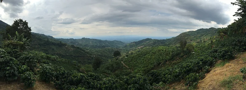 Colombia Road Closures After the Quake: Which Coffee-Region Routes Are Cut, One-Laned, or Reopened