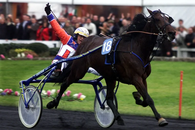 Italy’s most famous horse Varenne dies at 31 after fathering more than 2,000 offspring