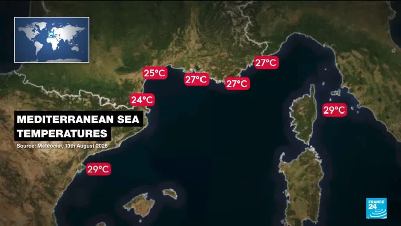 Global sea temperature reach 21 degrees amid heatwaves