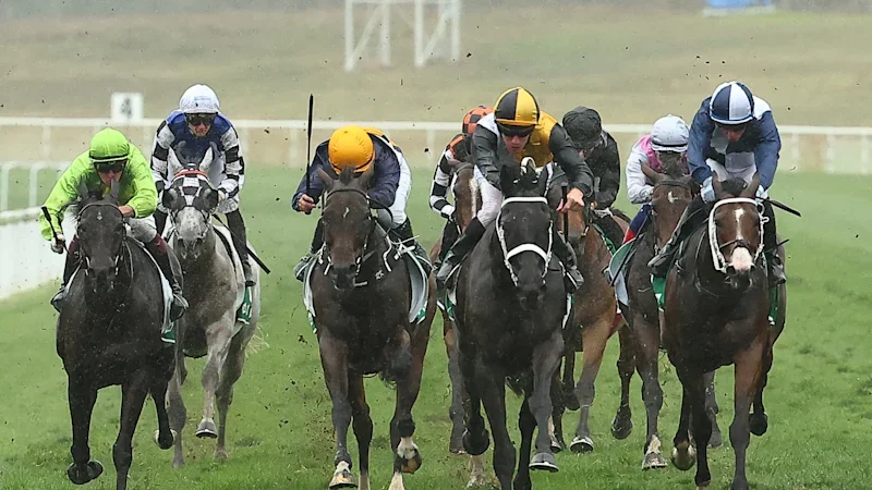 Race-by-race preview and tips for Scone on Monday