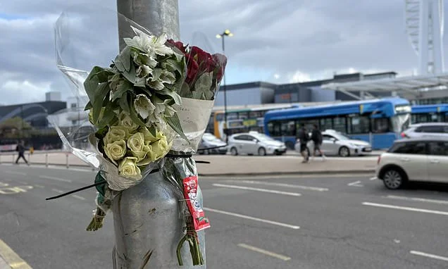 Boy, 14, is dead after being hit by a bus in Portsmouth: Driver is arrested