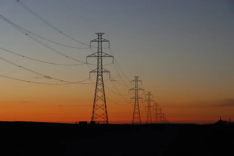 A Critically Endangered Frog Just Stopped a Chile-Argentina Power Line