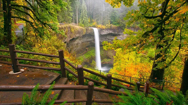 Man, 20, dies in 'horrific accident' after slipping from towering Oregon waterfall
