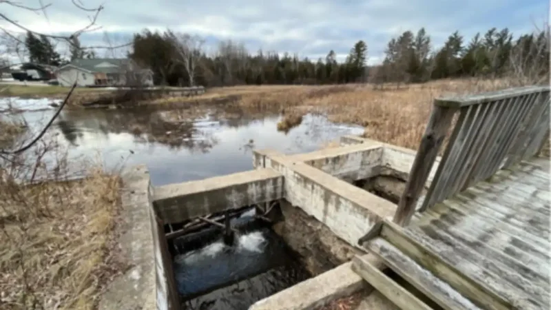 Michigan plans to remove century-old dam, restore 14 acres of wetlands