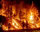 Heatwave scorching western US ups risk of hazardous fire conditions